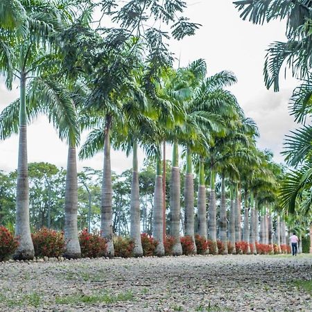 Hotel Hacienda Gualanday Apiay المظهر الخارجي الصورة